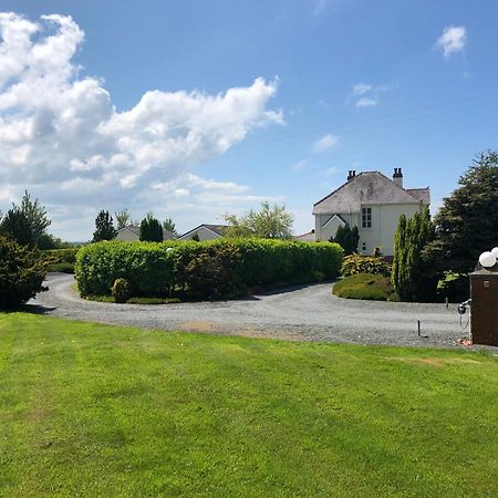 The Annexe - Spacious 2 Bedroom Detached Cottage Cardigan Eksteriør bilde