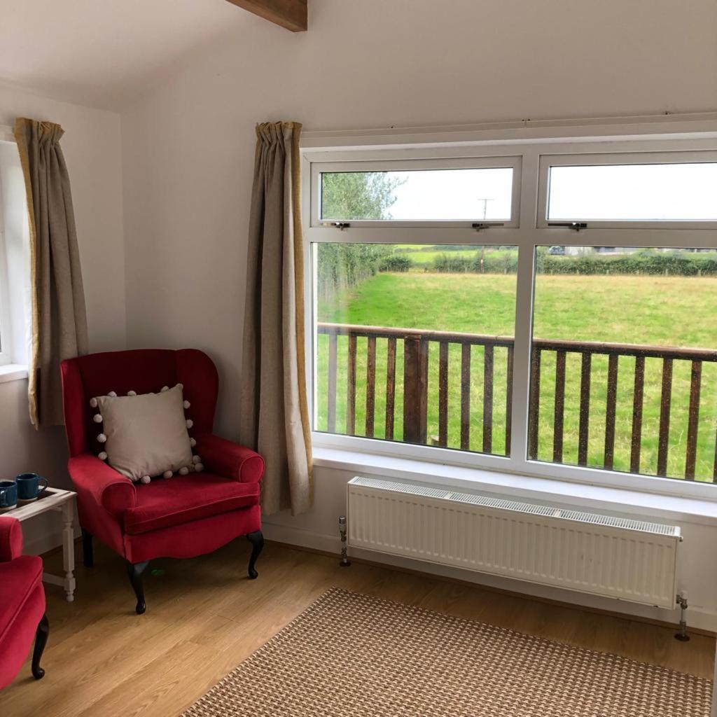 The Annexe - Spacious 2 Bedroom Detached Cottage Cardigan Eksteriør bilde