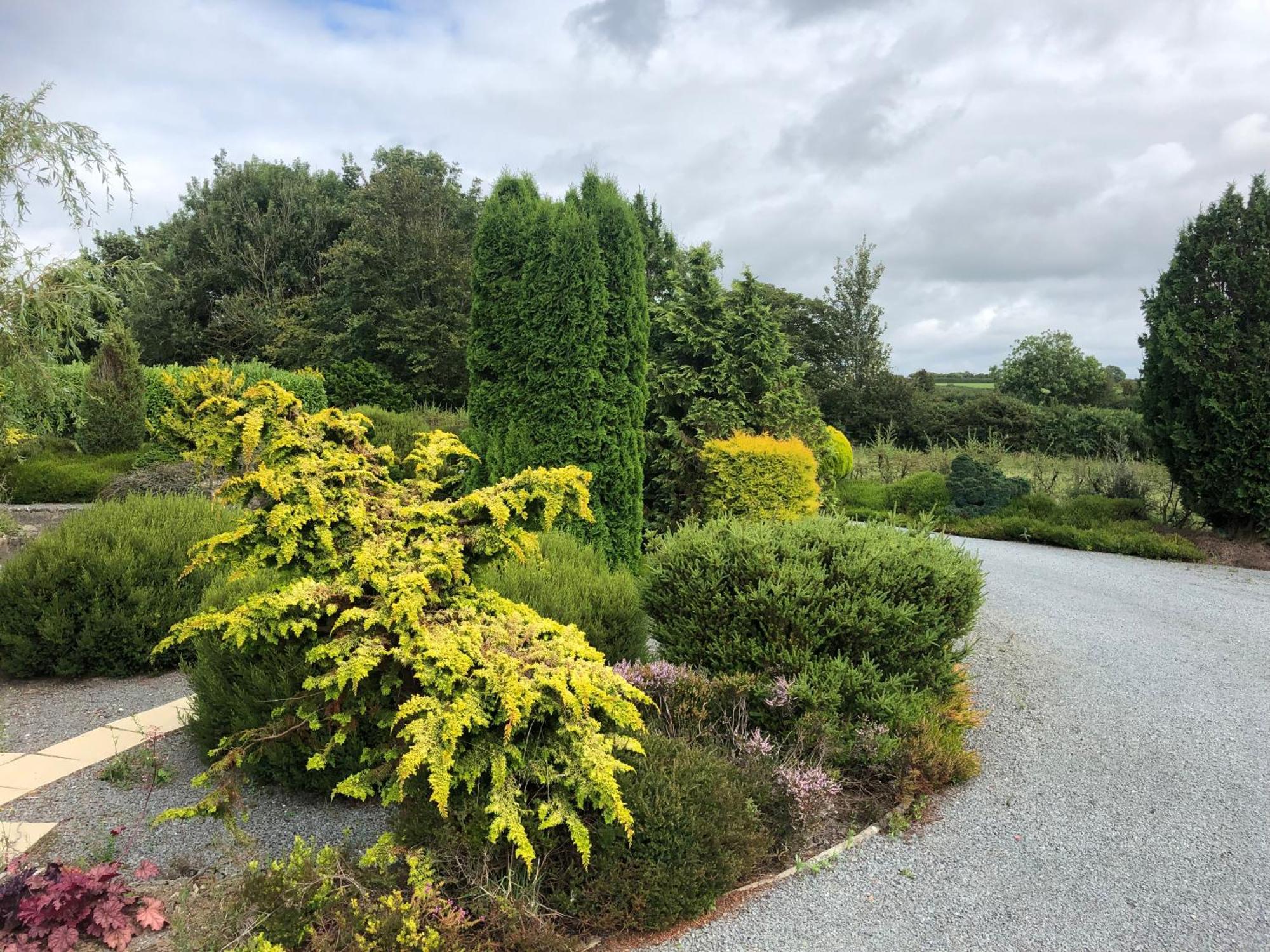 The Annexe - Spacious 2 Bedroom Detached Cottage Cardigan Eksteriør bilde